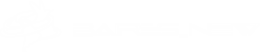Baires New